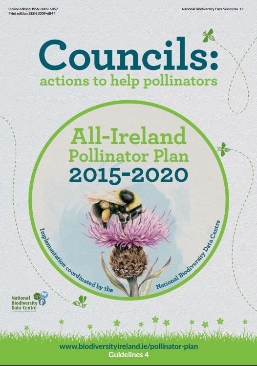 Pollinators Plan How Councils Can Support the Pollinator Plan | Ring of Gullion AONB