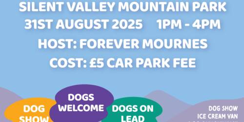 Bark in the Park promo flyer